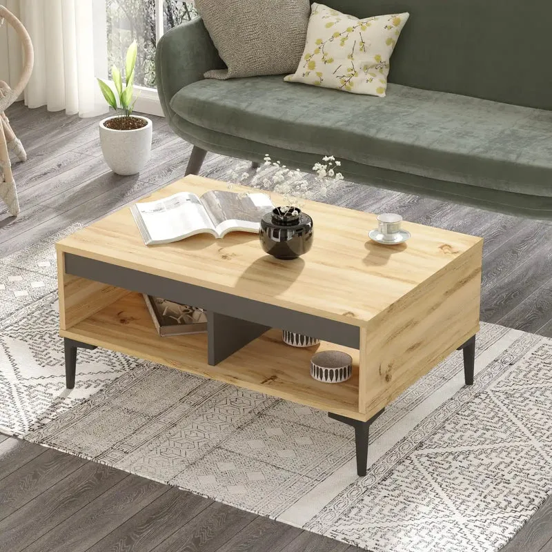 Table basse ALIZÉ bois clair et gris - Design scandinave moderne avec rangement et pieds noirs élégants