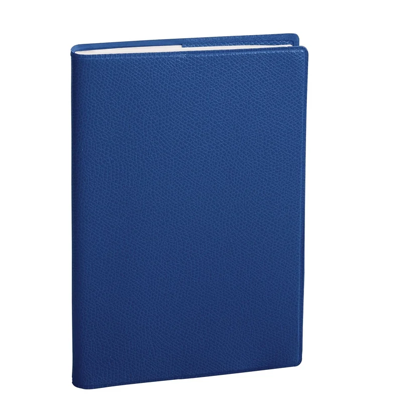 Agenda 2027 QUO VADIS Plain - 10 x 15 cm - Mensuel - Orientation verticale - Impala bleu océan
