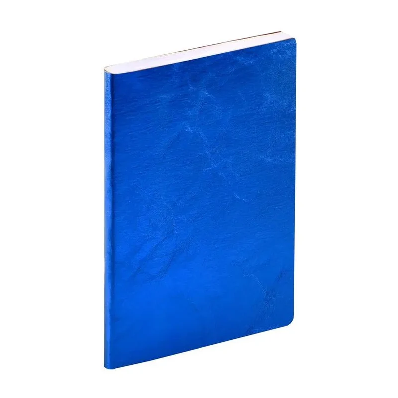 Agenda 2027 QUO VADIS Affaires Color - 10 x 15 cm - 1 semaine sur 2 pages - Orientation verticale - Susan bleu
