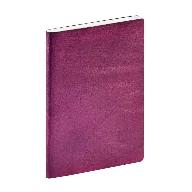 Agenda 2027 QUO VADIS Ministre Color - 16 x 24 cm - 1 semaine sur 2 pages - Orientation verticale - Susan aubergine