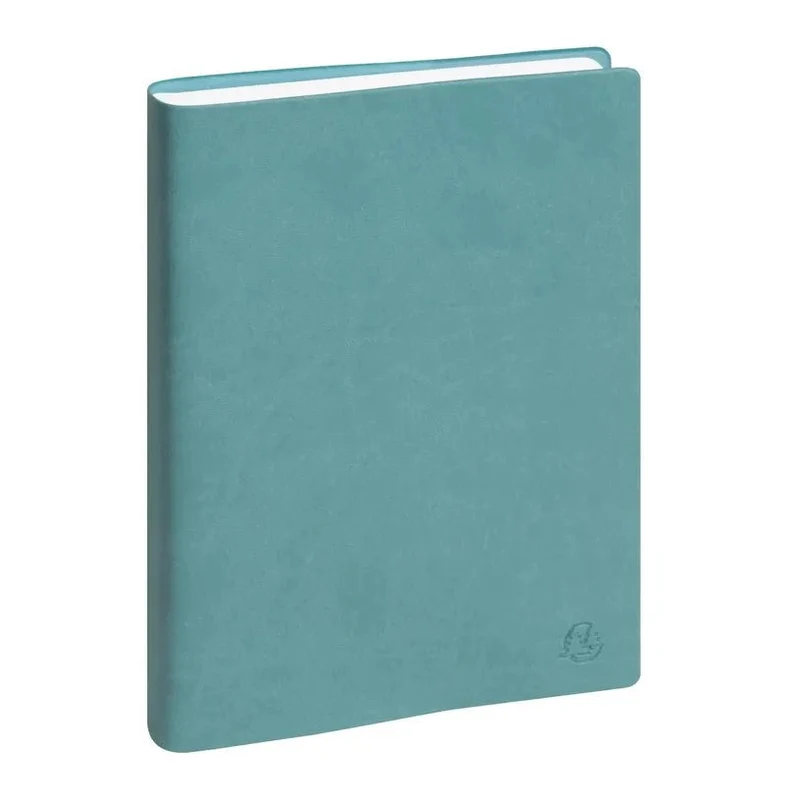 Agenda 2027 EXACOMPTA EasyDay 21 - 15 x 21 cm - 1 jour par page - Orientation horizontale - Ondine bleu eucalyptus