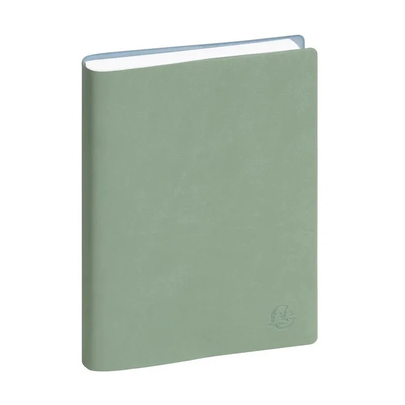 Agenda 2027 EXACOMPTA EasyDay 17 - 12 x 17 cm - 1 jour par page - Orientation horizontale - Ondine vert sauge