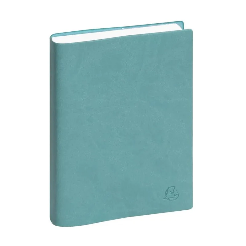 Agenda 2027 EXACOMPTA EasyDay 17 - 12 x 17 cm - 1 jour par page - Orientation horizontale - Ondine bleu eucalyptus