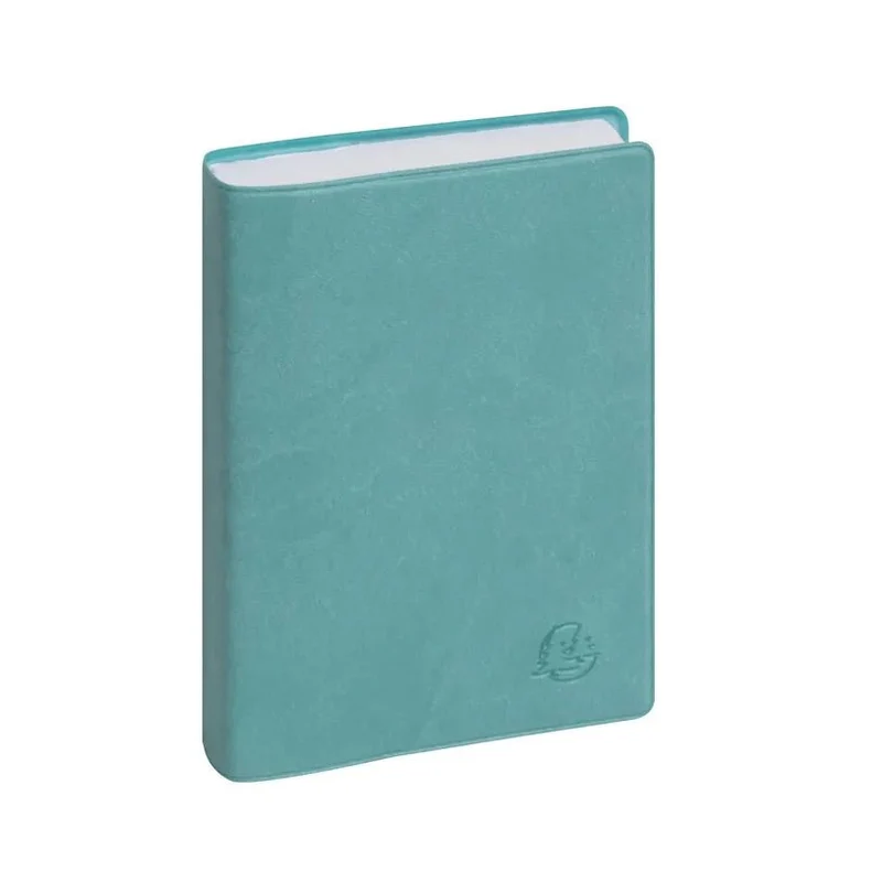 Agenda 2027 EXACOMPTA EasyDay 15 - 10 x 15 cm - 1 jour par page - Orientation horizontale - Ondine bleu eucalyptus