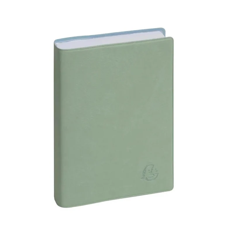Agenda 2027 EXACOMPTA EasyDay 15 - 10 x 15 cm - 1 jour par page - Orientation horizontale - Ondine vert sauge