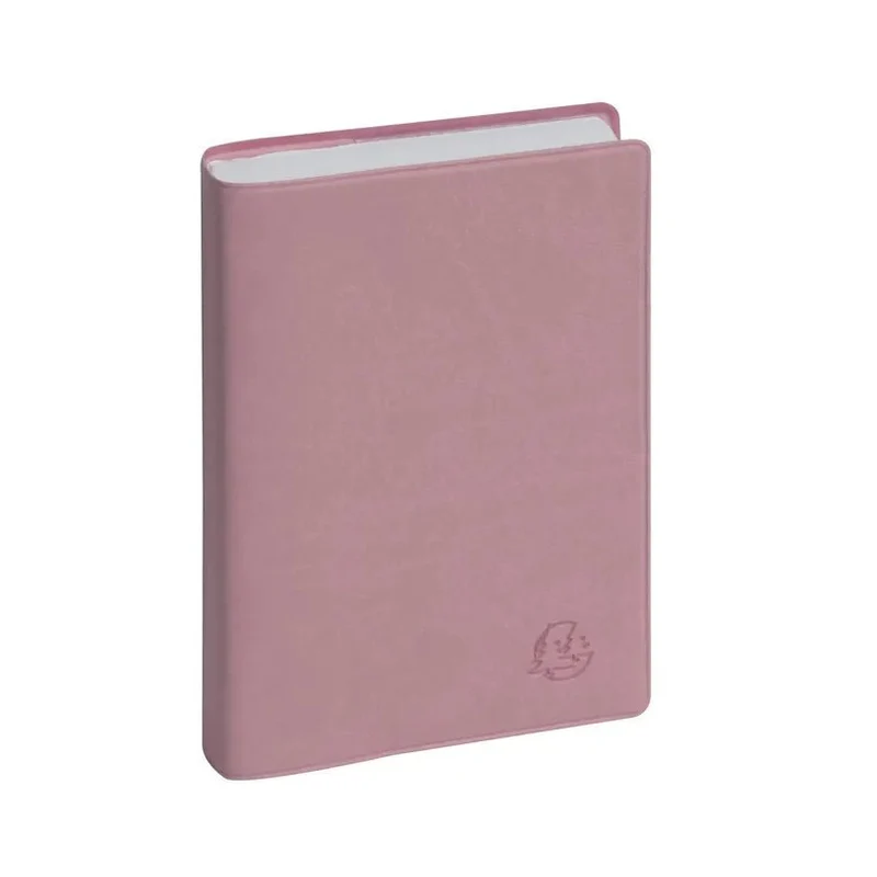 Agenda 2027 EXACOMPTA EasyDay 15 - 10 x 15 cm - 1 jour par page - Orientation horizontale - Ondine rose