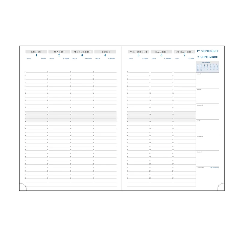 Agenda 2026-2027 EXACOMPTA SAD 29 - 21 x 29,7 cm - 1 semaine sur 2 pages - Orientation verticale - Vérone moutarde