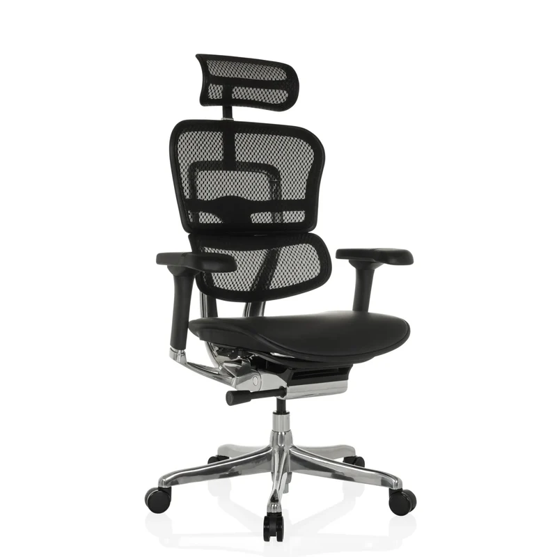 ERGOHUMAN GEN2 | maille / cuir - Siège de direction de luxe
