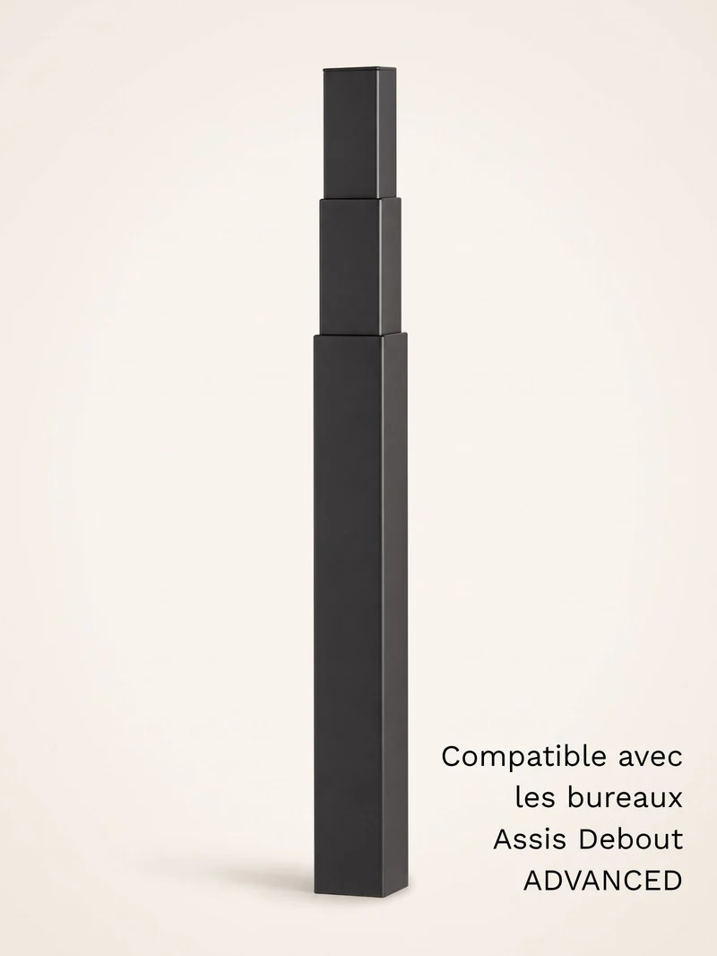 Colonne motorisée universelle pour bureau Assis Debout électrique