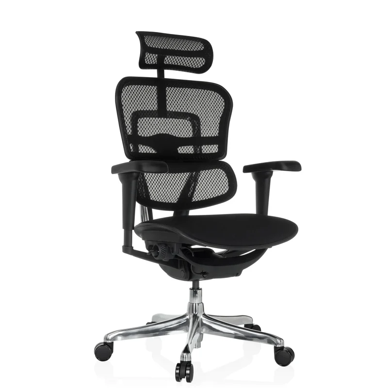 ERGOHUMAN ULTRA F GEN2 tissu/tissu maille - Siège de direction de luxe
