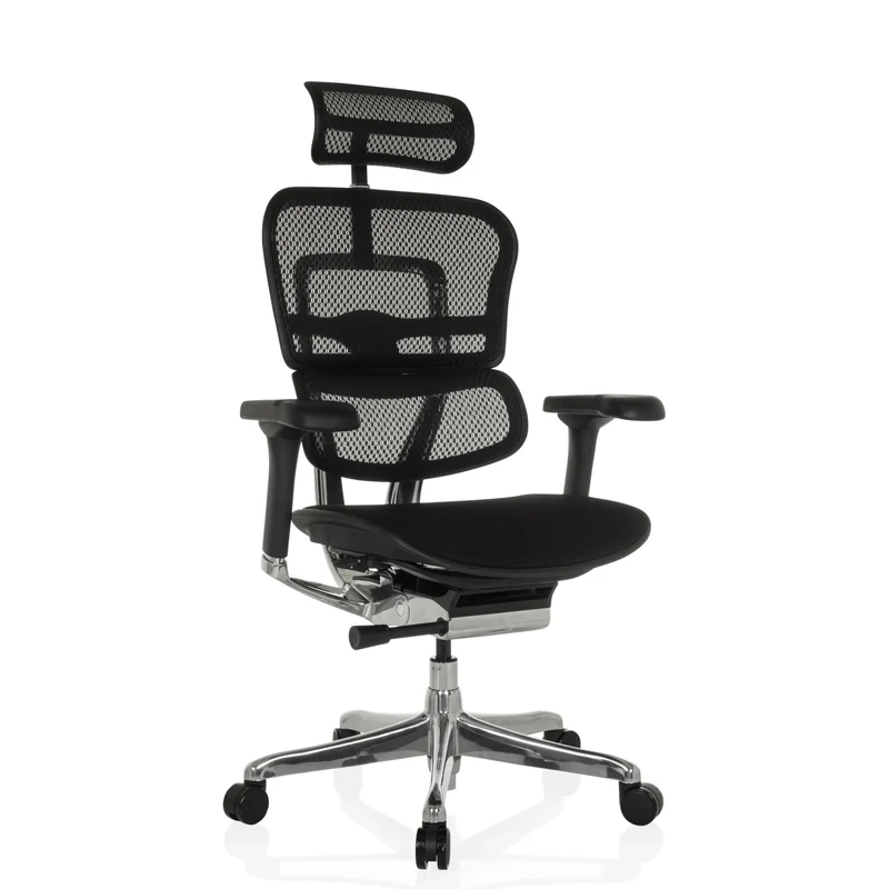 ERGOHUMAN GEN2 | Tissu maille/ Tissu - Siège de direction de luxe