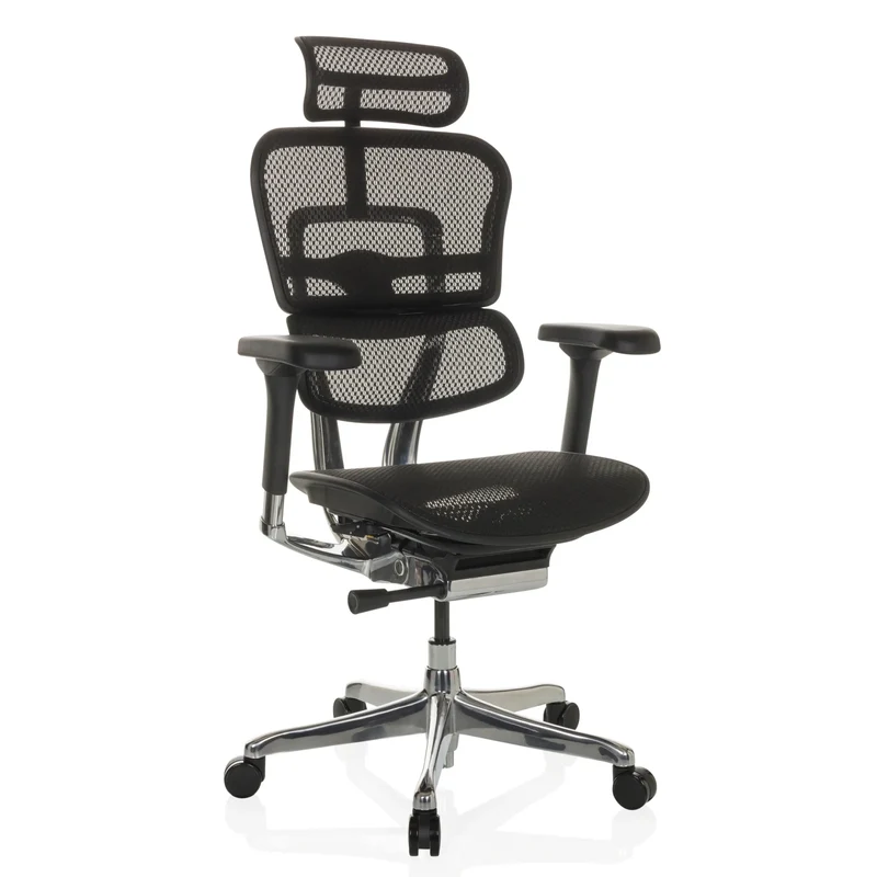 ERGOHUMAN GEN2 | tissu maille - Siège de direction de luxe