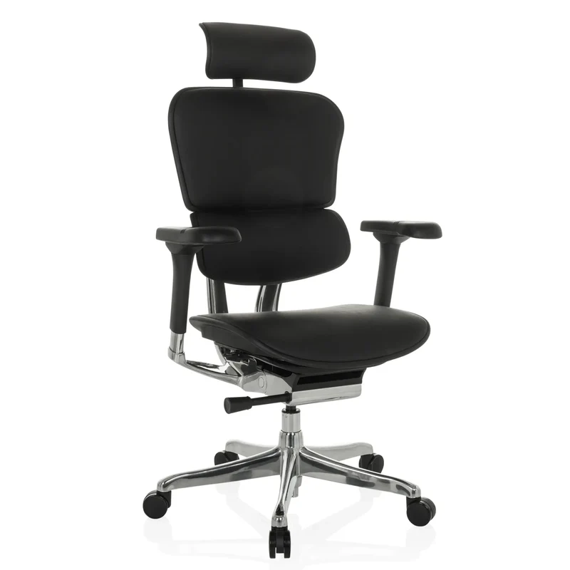 ERGOHUMAN GEN2 | Cuir - Siège de direction de luxe
