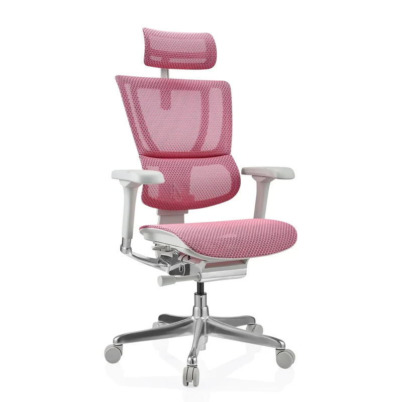 ERGOHUMAN SLIM G GEN2 | tissu maille - Siège de direction de luxe