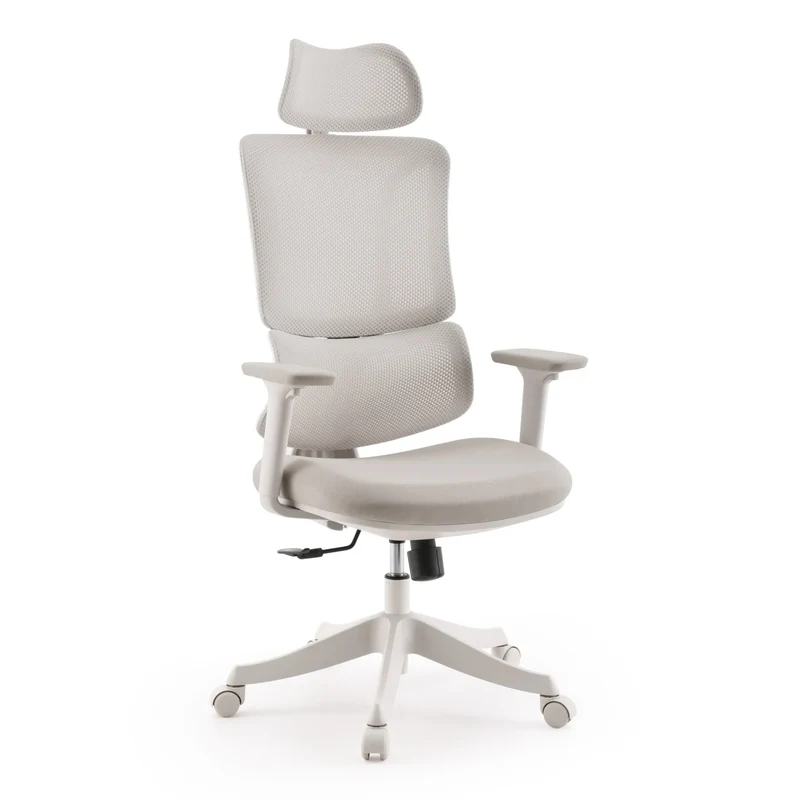 Ergomy Colore | Tissu / Maille 3D | Structure : Multicolore - Siège de bureau à domicile
