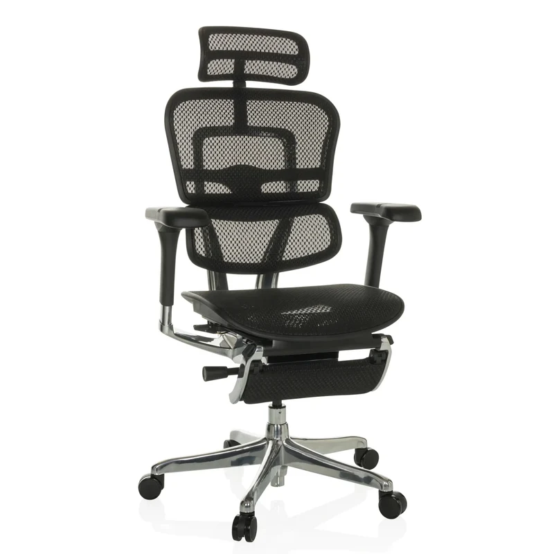 ERGOHUMAN PLUS LEGPRO GEN2 | tissu maille - Siège de direction de luxe