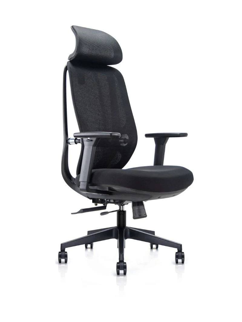 Chaise de Bureau Ergonomique | Milo