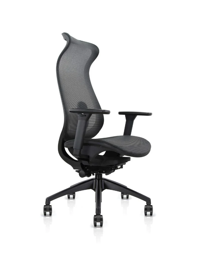 Chaise de Bureau Ergonomique | Lineo