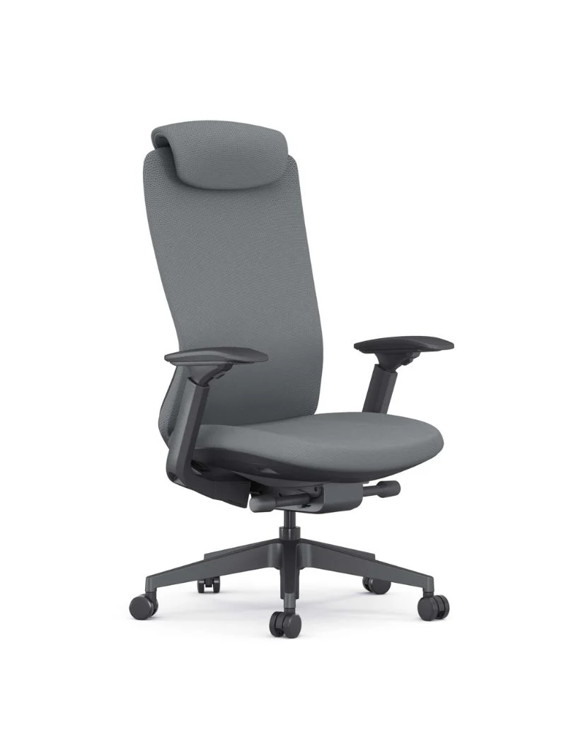 Chaise de Bureau Ergonomique | Vectura