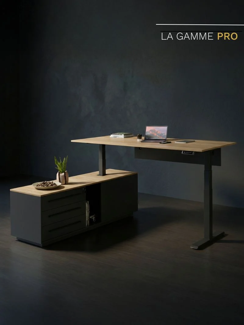 Prestige | Bureau de Direction Assis Debout Électrique