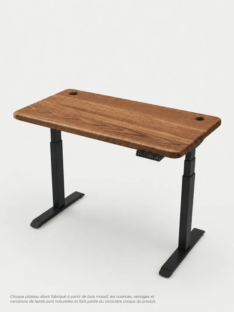 Advanced Go - Plateau Premium Oak | Bureau Assis Debout Électrique en Chêne Massif, Ports USB A & C