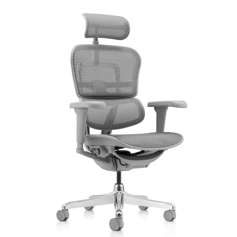 ERGOHUMAN ULTRA G GEN2 | tissu maille - Siège de direction de luxe